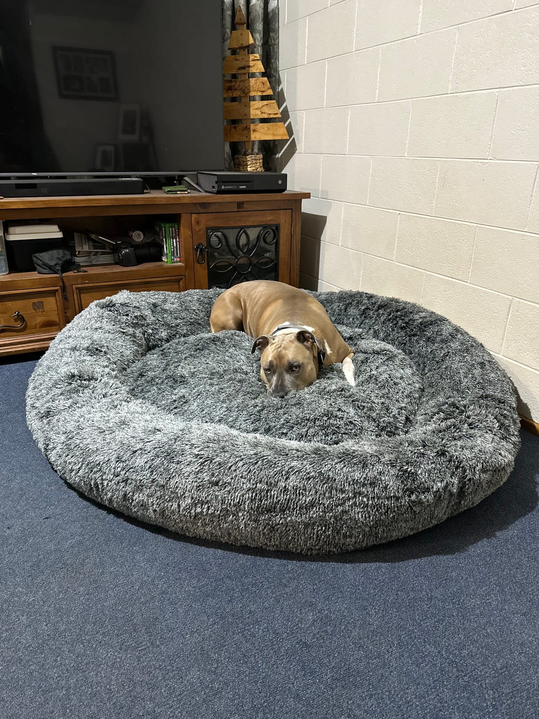 Customer photo review of Premium Calming Pet Bed with Removable Cover