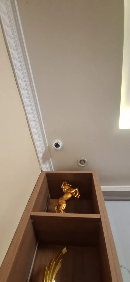 Customer photo review of Victory Horse Resin Statue