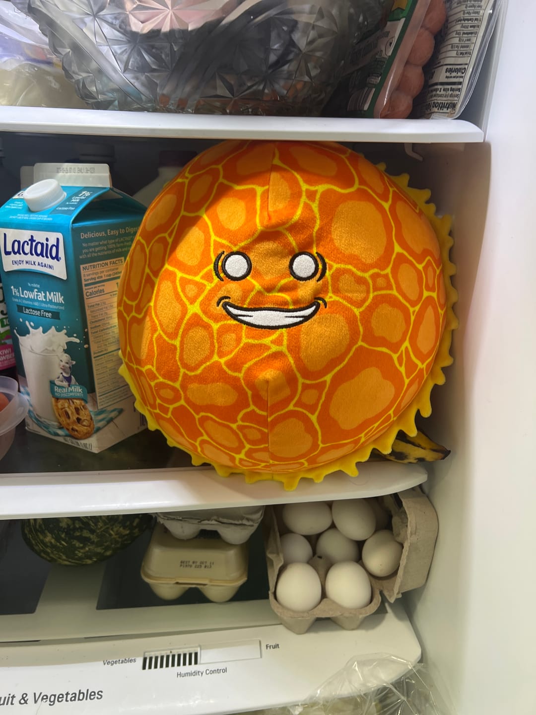 Customer photo review of The SolarBalls Sun Plush
