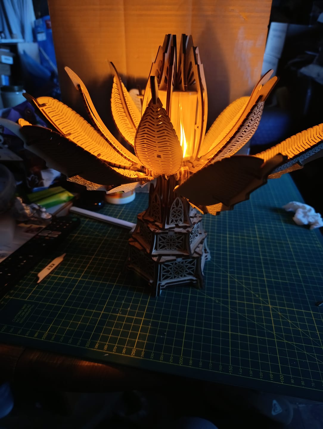 Customer photo review of Fiery Bloom