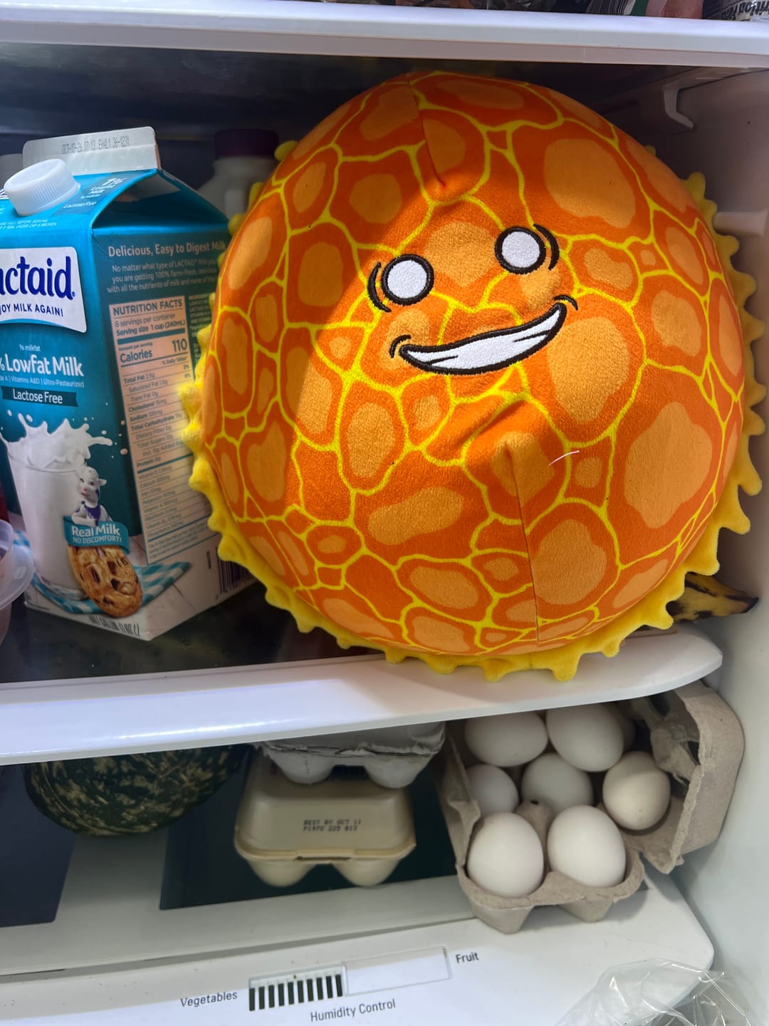 Customer photo review of The SolarBalls Sun Plush