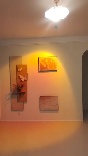 Customer photo review of Modern Art Mural Light