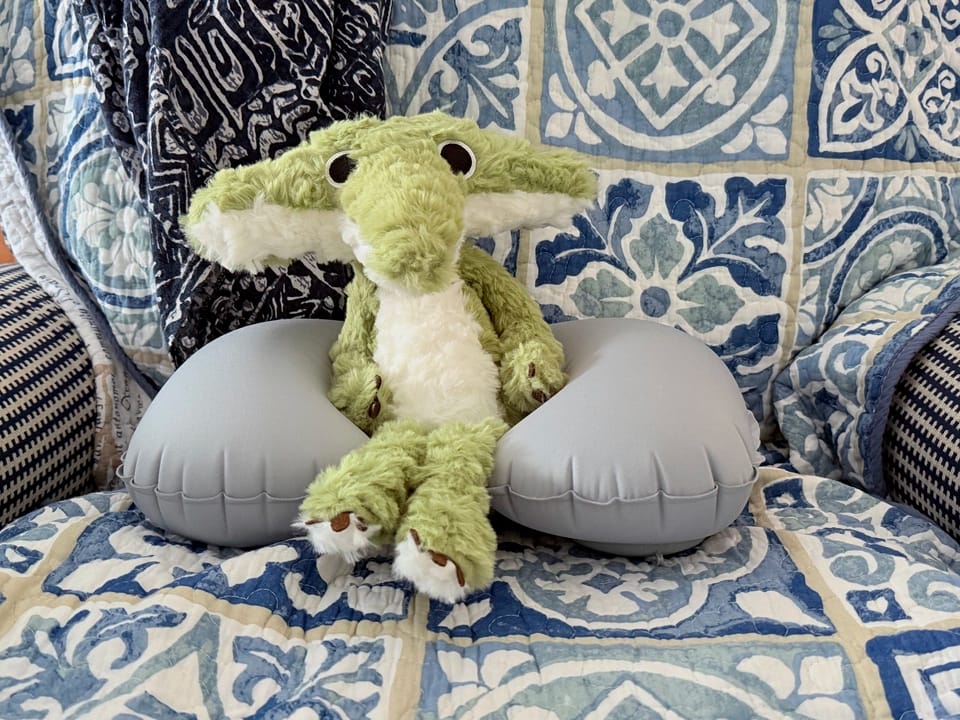 Customer photo review of Cordy Crocodile