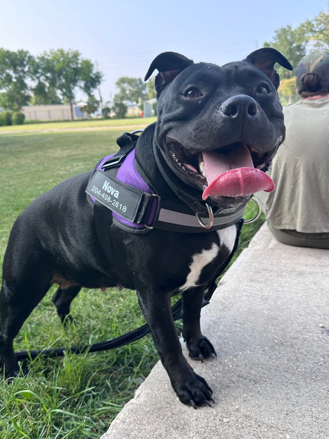 Customer photo review of Bungee Leash