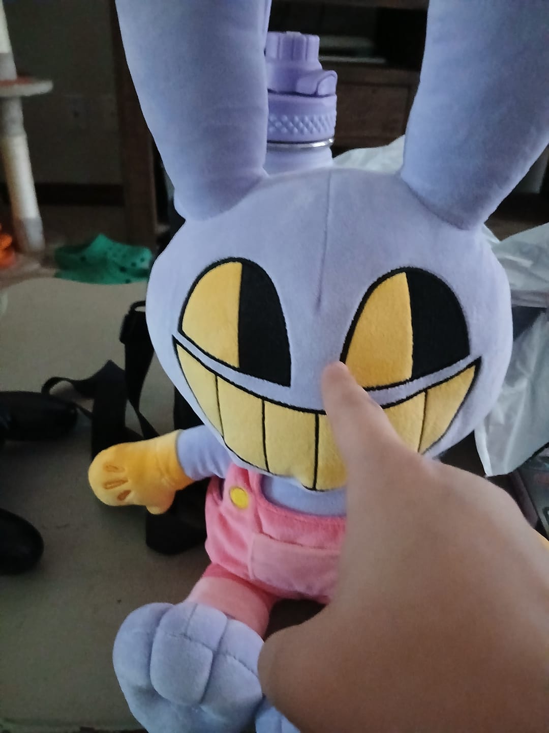 Customer photo review of Jax Plush