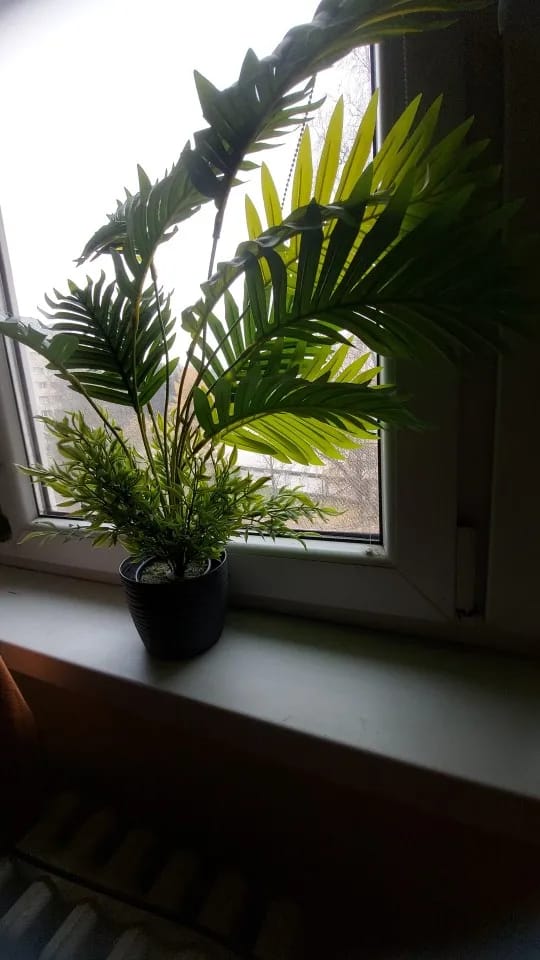 Customer photo review of Outdoor Artificial Green Plants