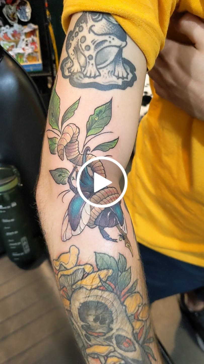 Customer video review of Fusion - Evan Olin's Purple Haze