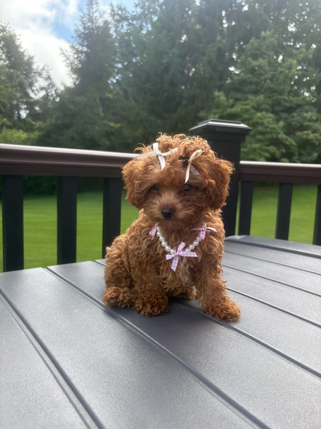 Customer photo review of Pearl Bow Necklace