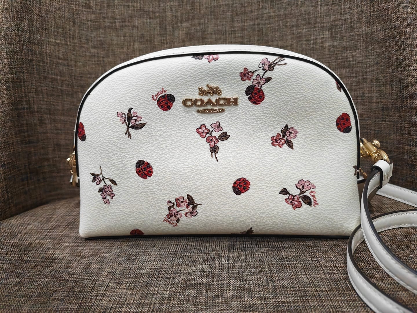 Customer photo review of Coach Madi Crossbody Bag With Lady Bug Floral Print In Chalk Multi CU273