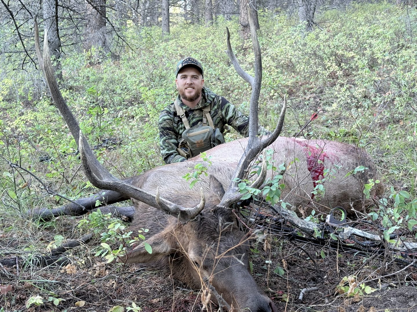 Customer photo review of Aluminum Broadheads
