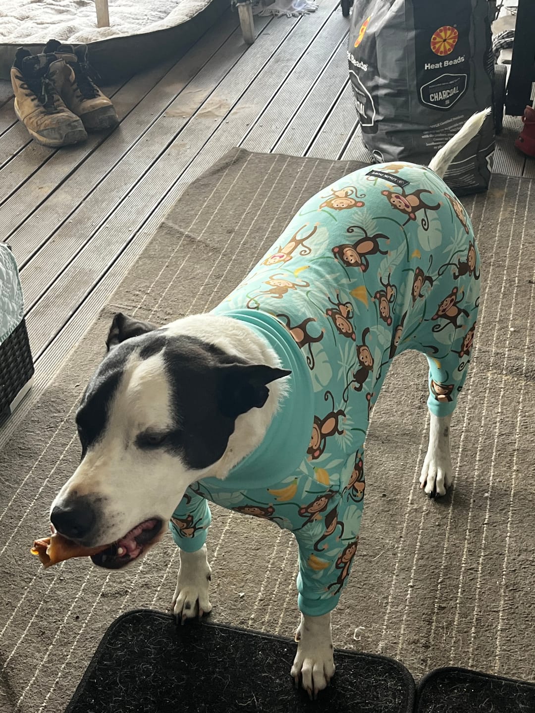Customer photo review of Dog Pajama Prints