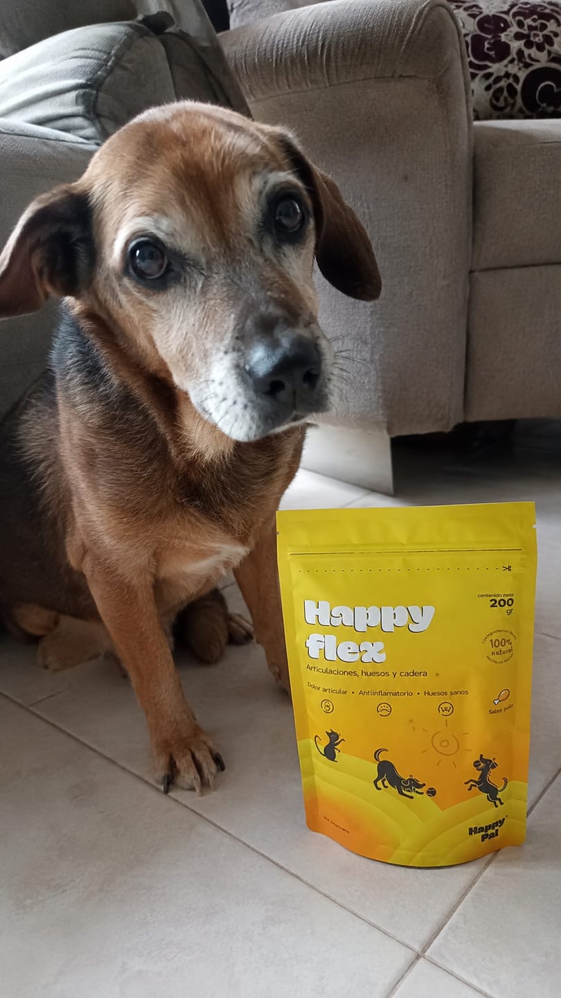 Customer photo review of Happy Pal I Happy Flex I Suplemento Para Articulaciones de Perros y Gatos