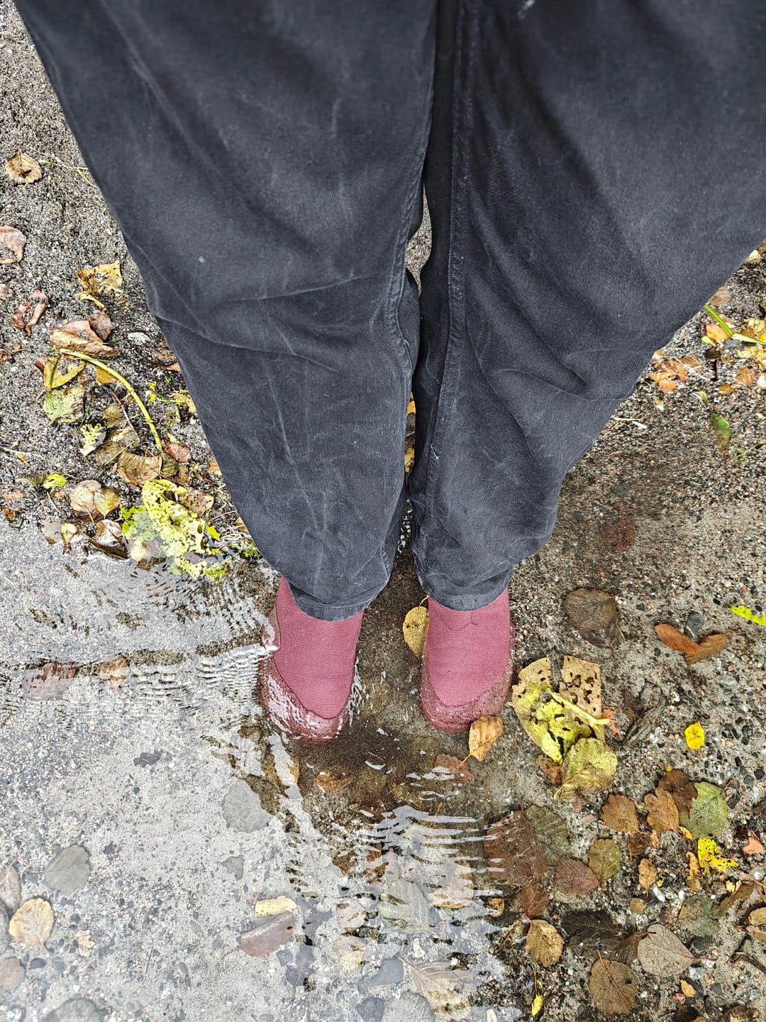 Customer photo review of Vaistoa Kajo 2 | Barefoot Chelsea Boots