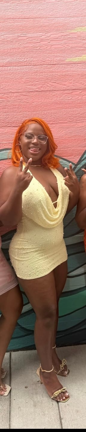 Customer photo review of Adelaide Mesh Pearl Mini Dress