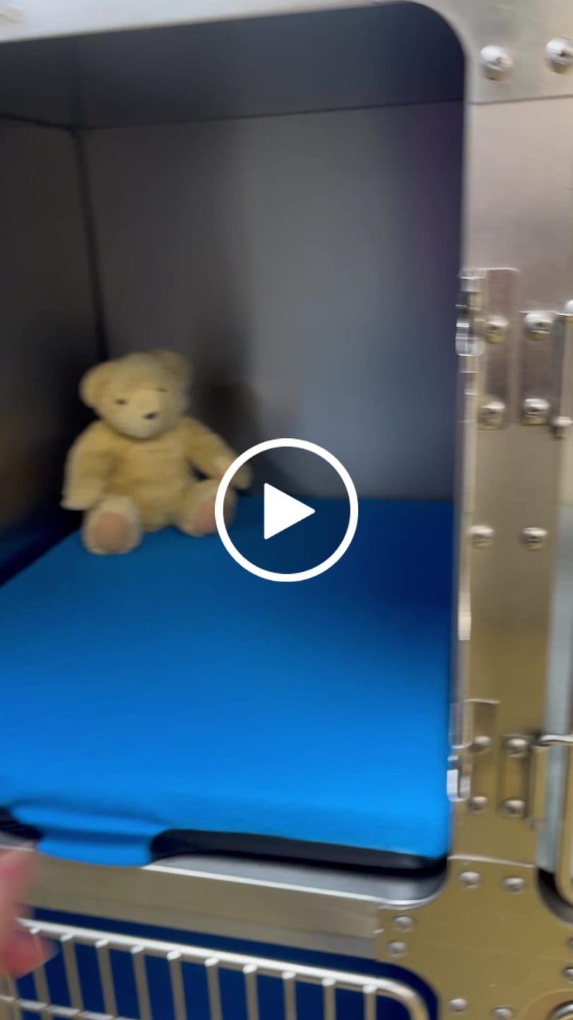 Customer video review of Comfort Recovery Cushion (Veterinary Cages)