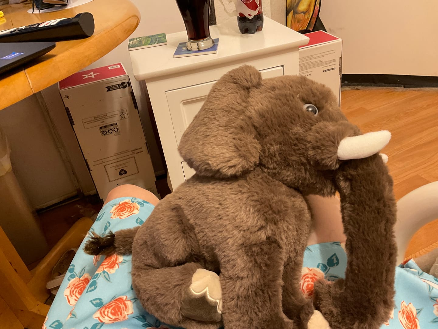 Customer photo review of The Expedition Plush