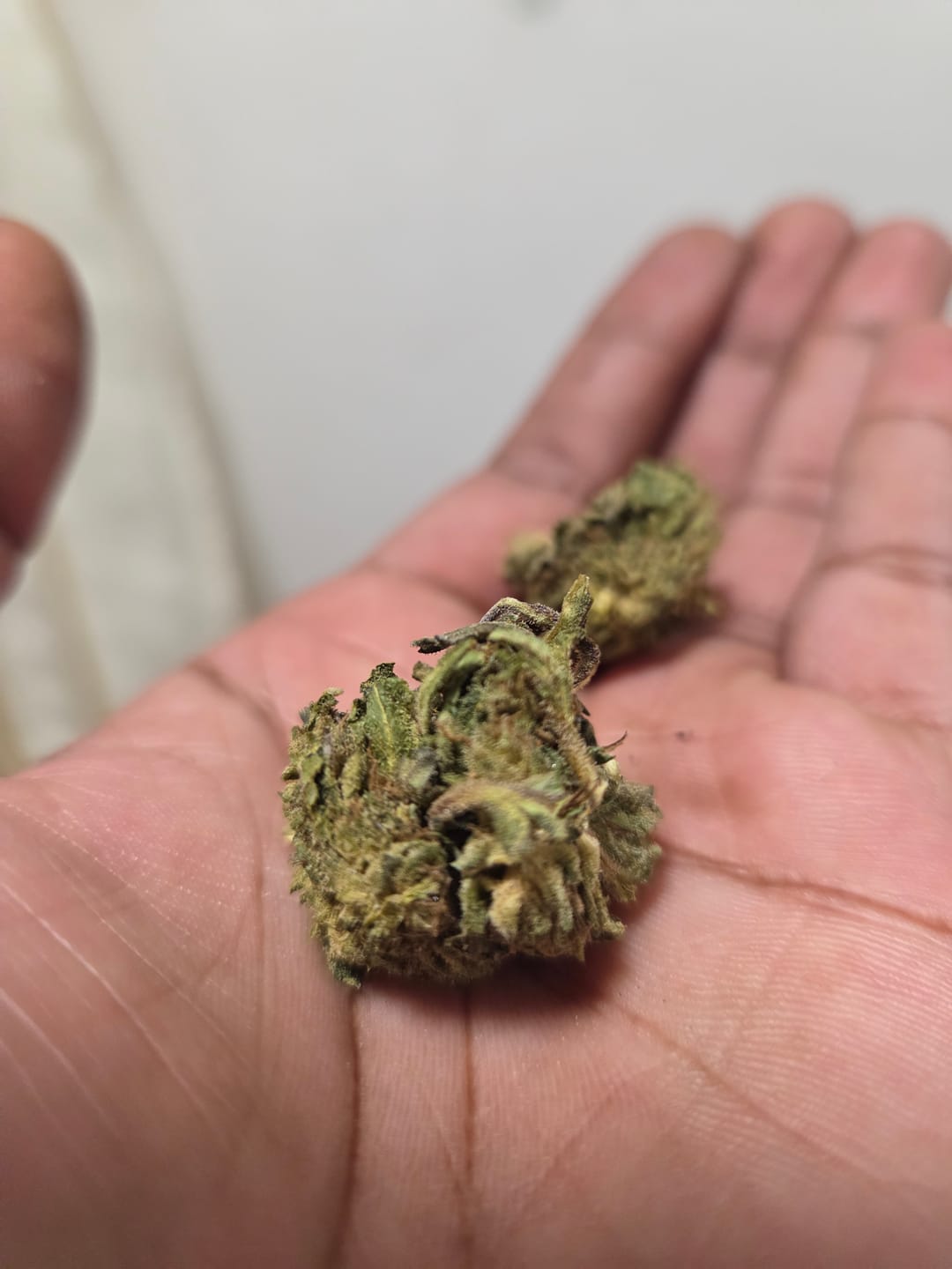 Customer photo review of Bulk THCA Flower Pounds