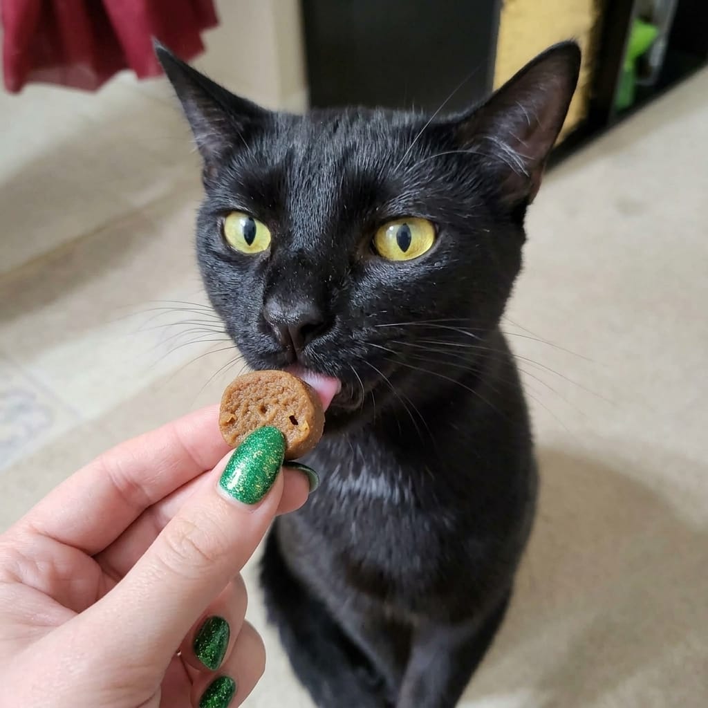 Customer photo review of Renya, la première friandise qui prend soin des reins de votre chat, bien avant les premiers signes