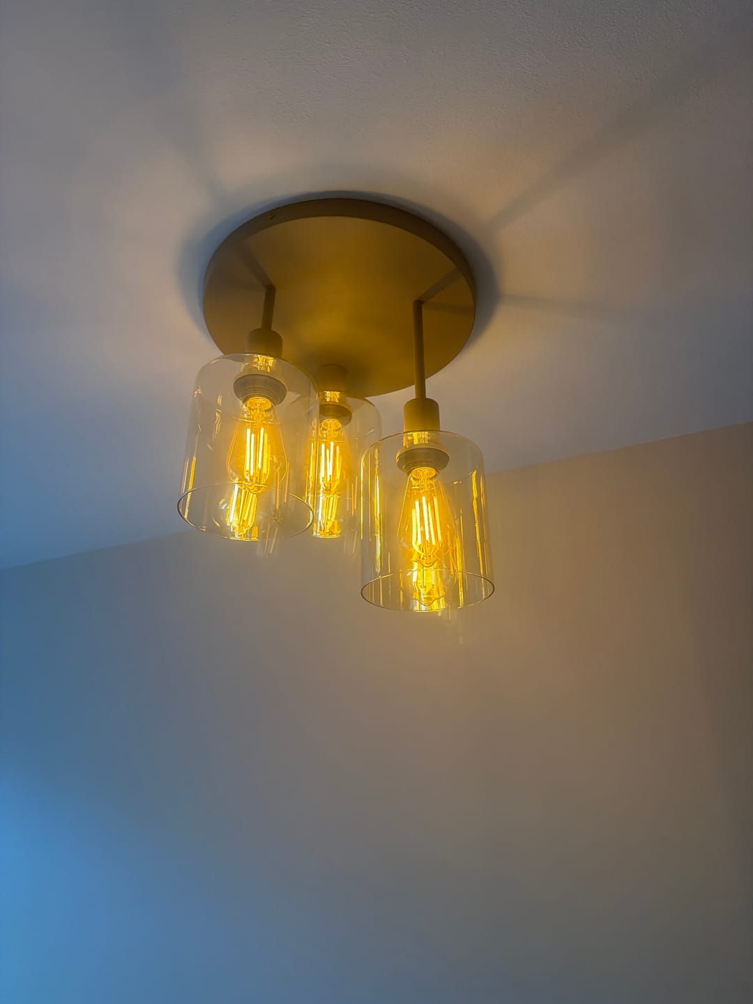 Customer photo review of Plafondlamp Sepiora 3L