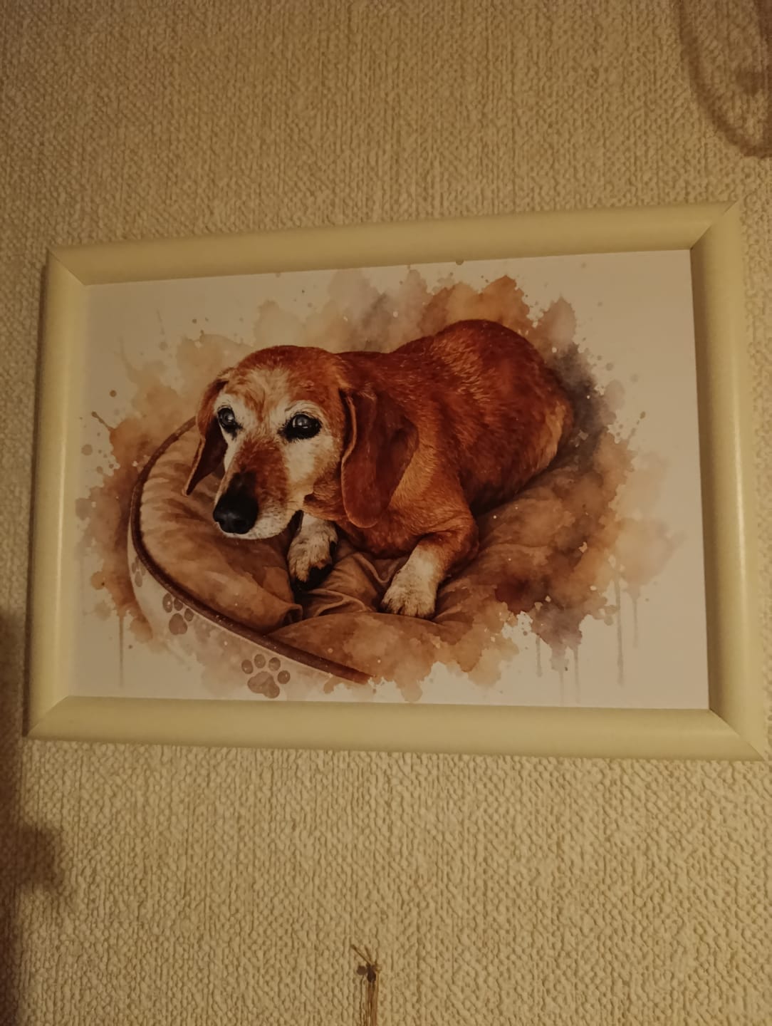 Customer photo review of Dein Haustier als Kunstwerk – mit Live-Vorschau, als Poster oder Leinwand