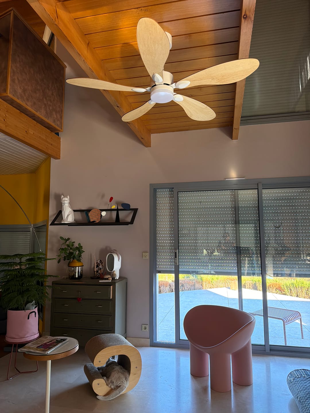 Customer photo review of Libellule teinté Chêne | Ventilateur de plafond