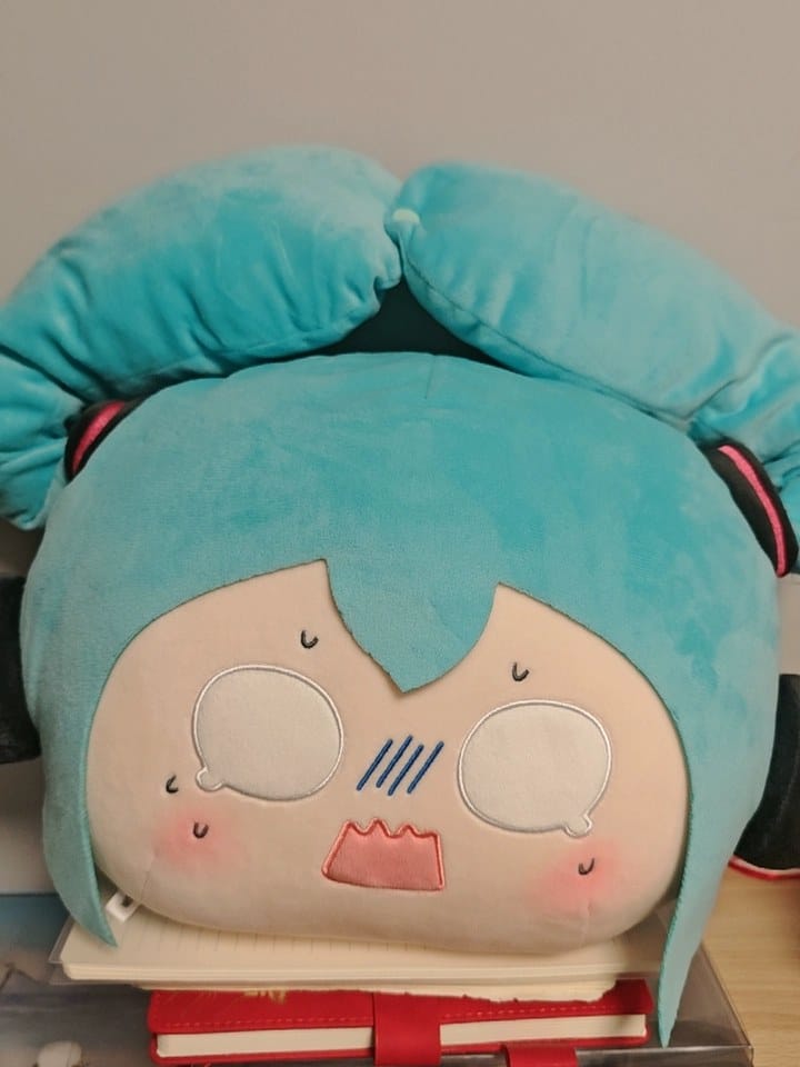 Customer photo review of Officially Licensed Hatsune Miku Everyday Daydream Plush Pillow – Soft Cushion Doll (35 cm / 13.8 in)