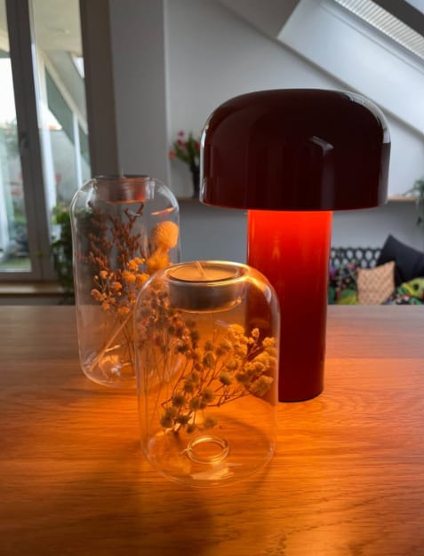 Customer photo review of Sol Cordless Metal Mushroom Table Lamp | Rechargeable Dimmable Bedside Night Light