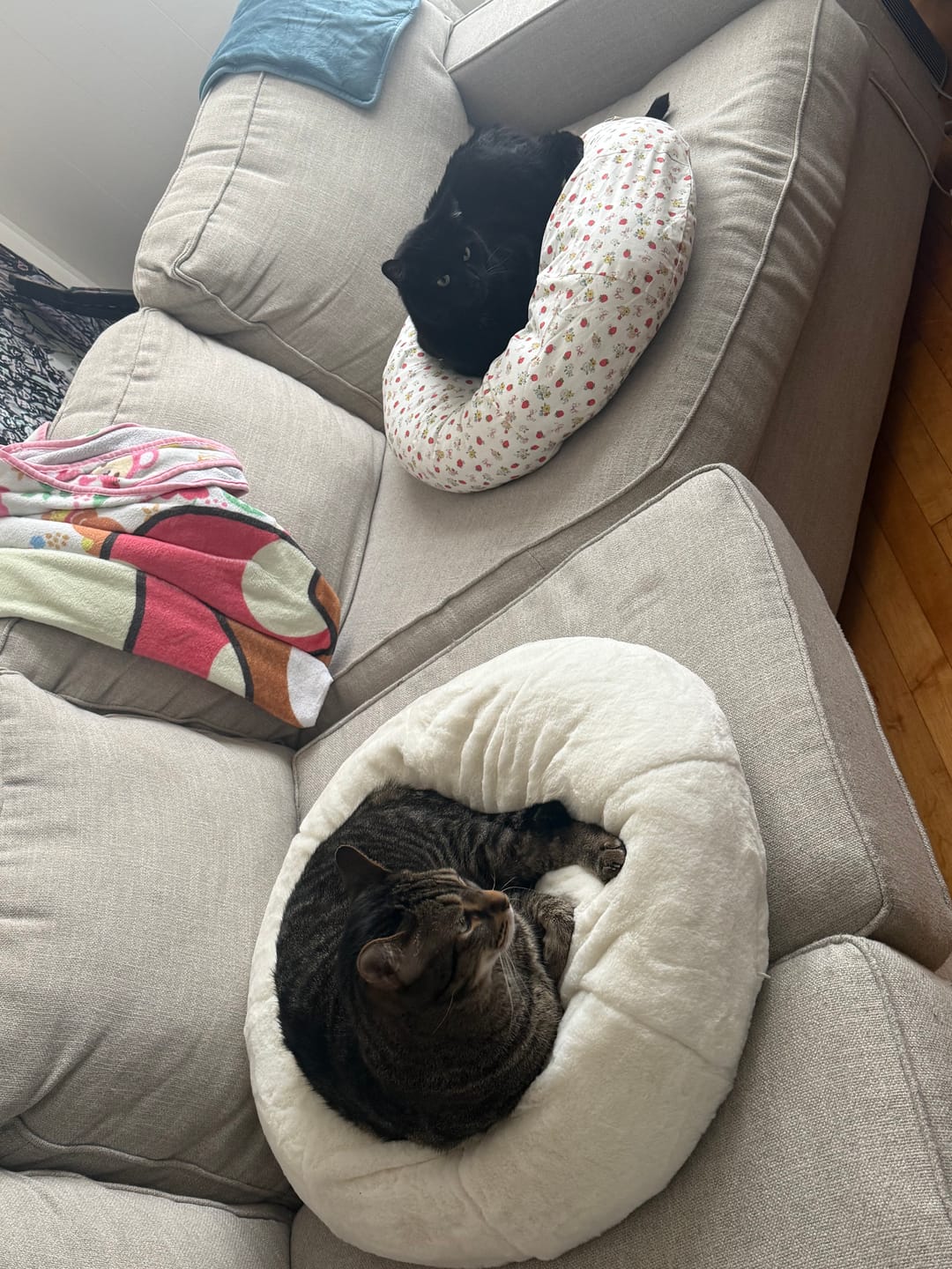 Customer photo review of Strawberry Jam Pudding Bed