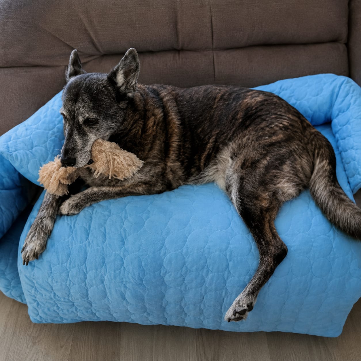 Customer photo review of Luxury Self-Cooling Bed Pawlaro