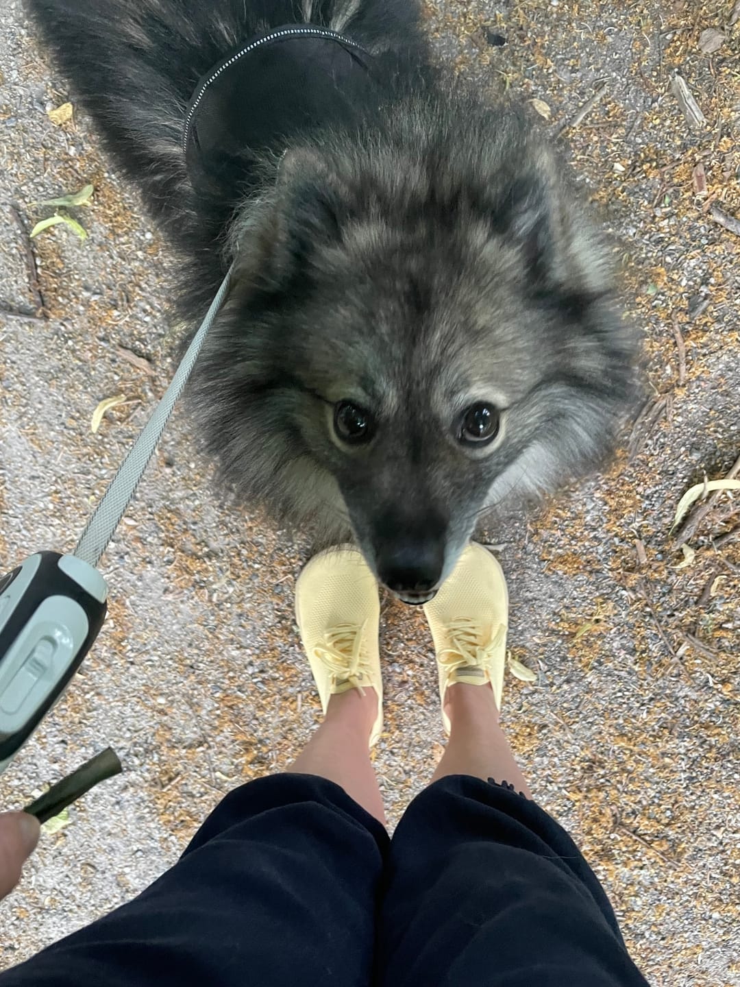 Customer photo review of Vaistoa Iloa | Knitted Barefoot Sneakers