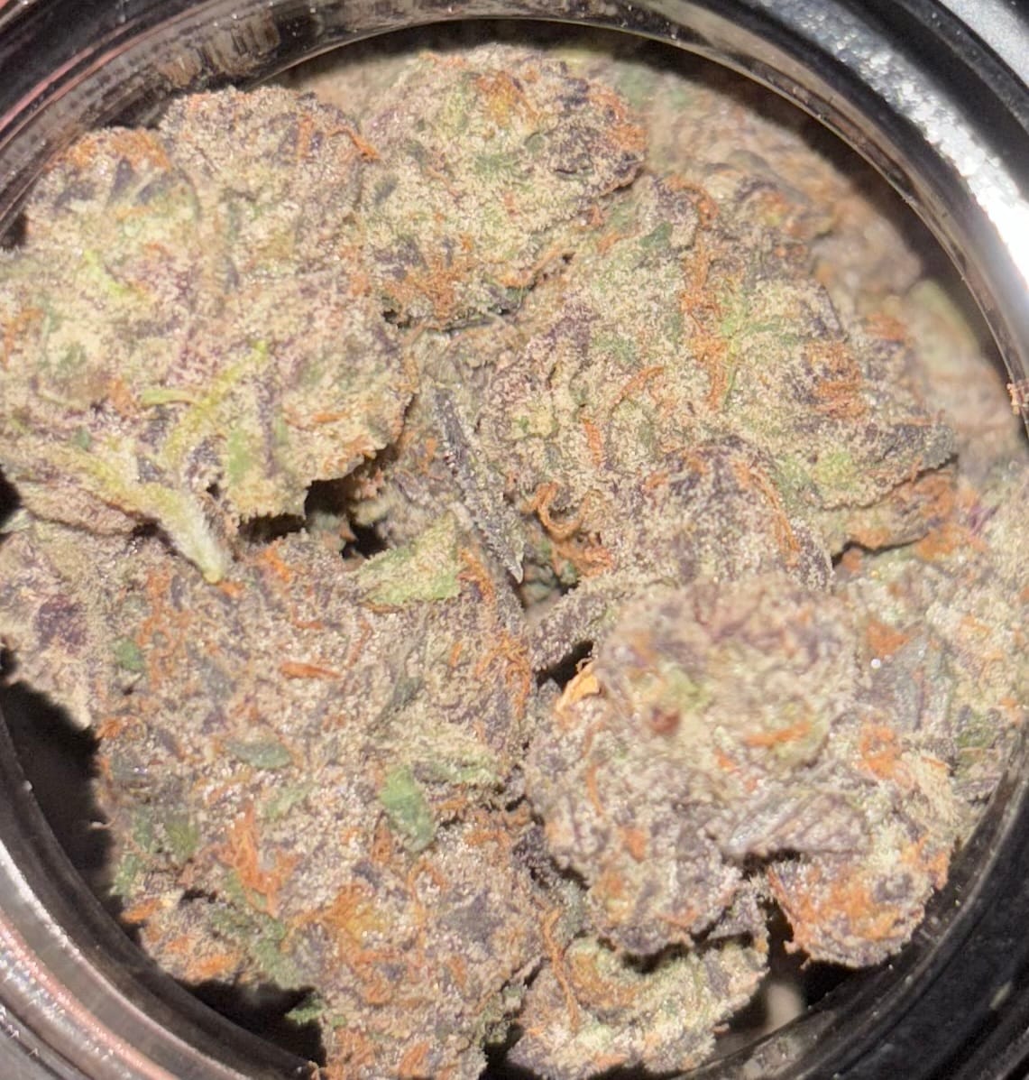 Customer photo review of Blue Lobster 17 Grams