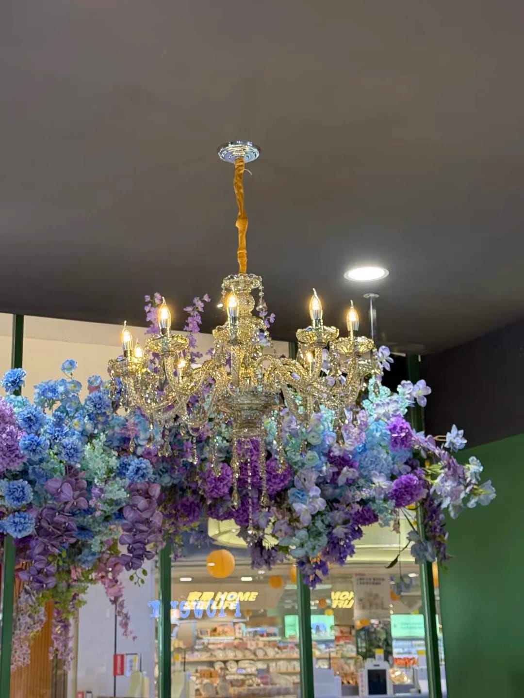 Customer photo review of Villa Crystal Pendant Light