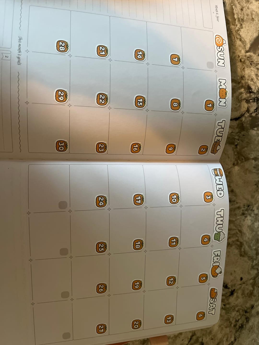 Customer photo review of Pumpkin Spice Days and Date Covers