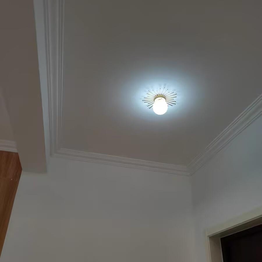 Customer photo review of Brass Ceiling Light, Frosted Glass Globe, Ceiling or Wall Mount