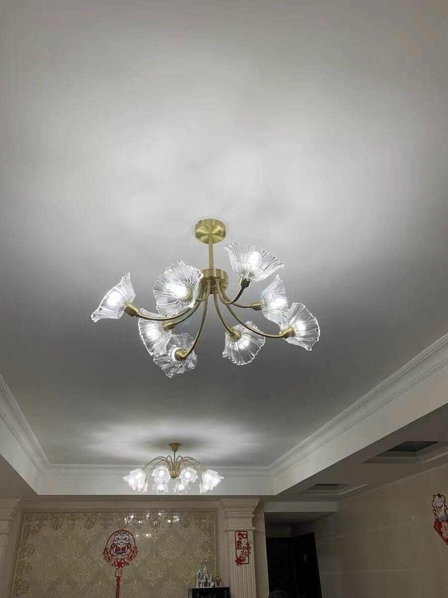 Customer photo review of Brass Chandelier, Clear Glass Petal Shades, 3 to 8 Heads