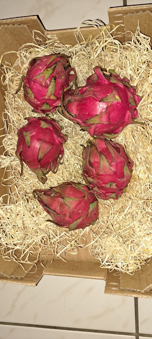 Customer photo review of Drachenfrucht rot Bio von Julian Aktionspreis %