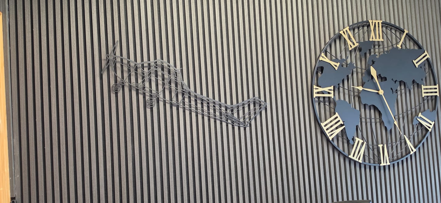 Customer photo review of Skyhawk 172 Silhouette Metal Wall Art