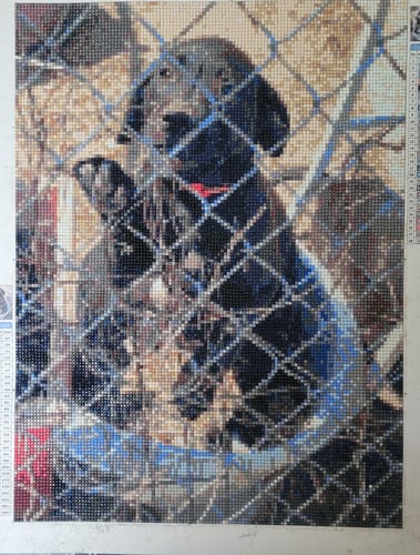 Deborah S.’s finished Custom Photo diamond painting