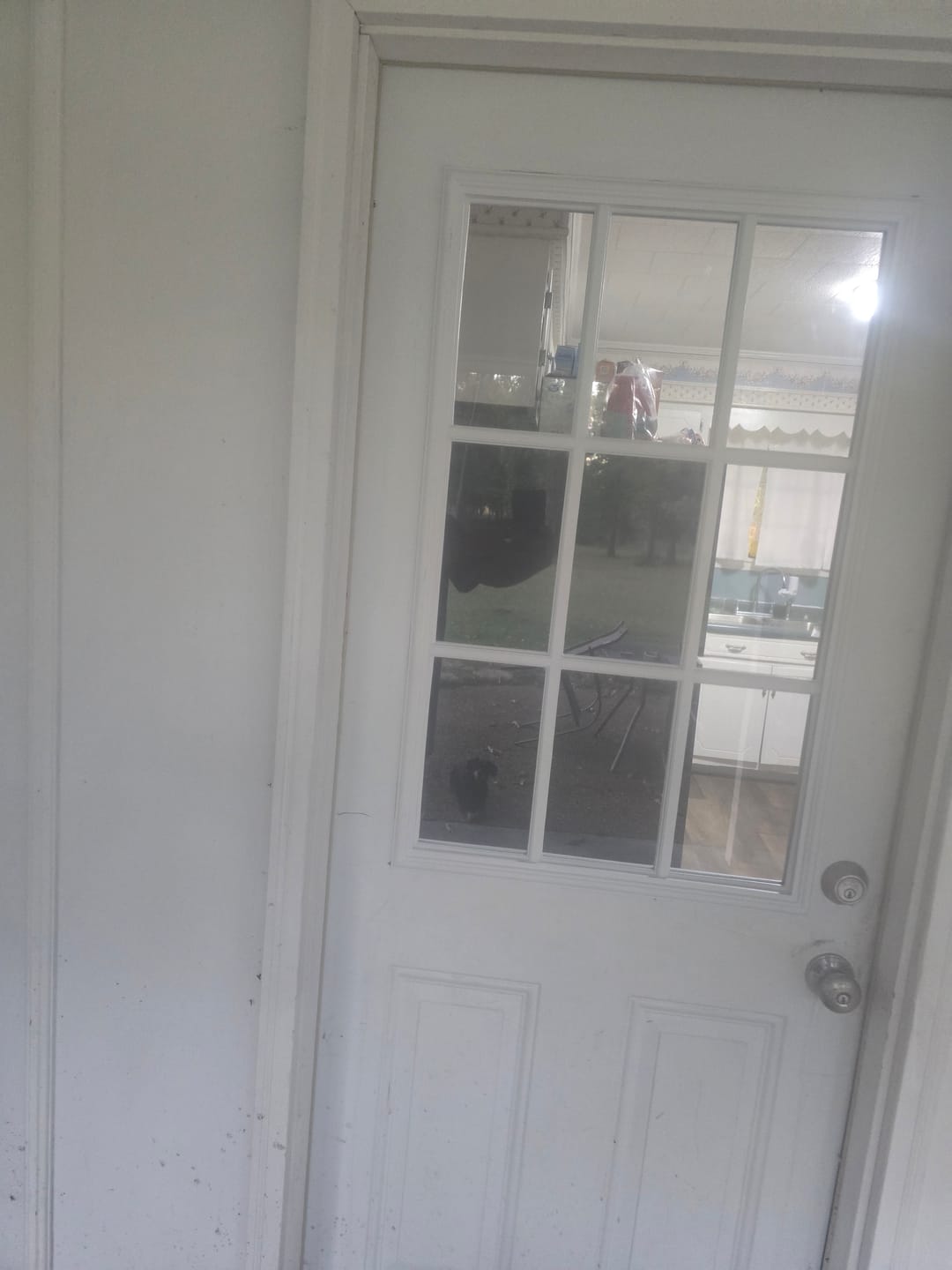 Customer photo review of Clear 9 Lite Glass and Frame Kit (Interior 1 3/8" Door Thickness - Half Lite)