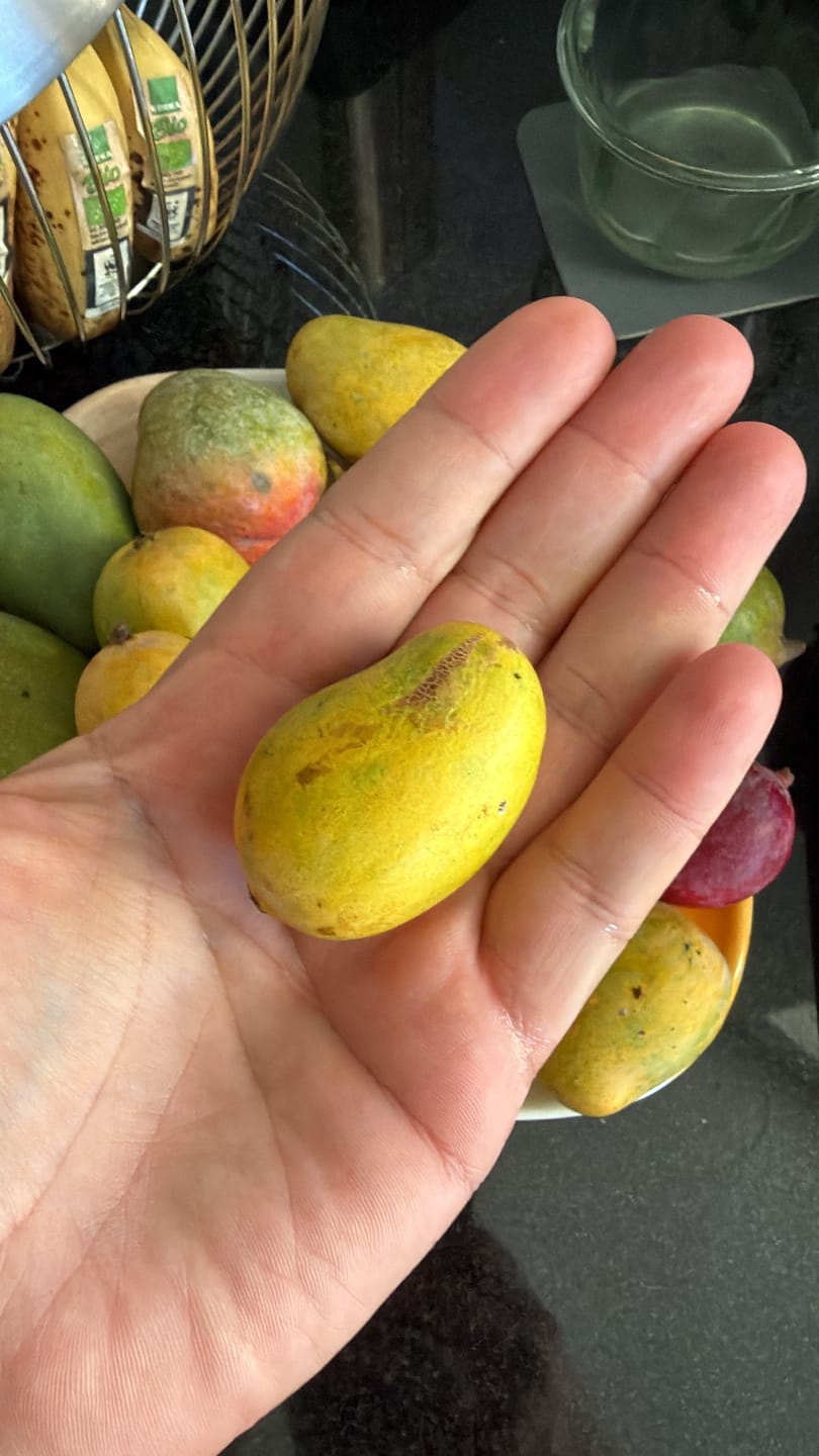 Customer photo review of Baby-Mango Mix "Wild Wonders" von Julian