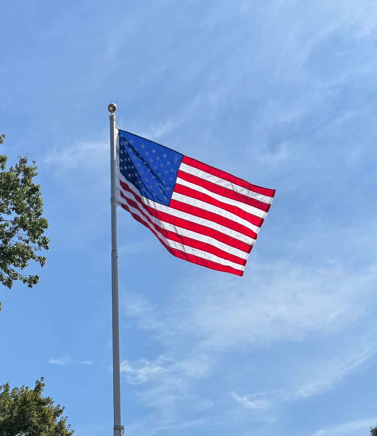 Customer photo review of 3' x 5' American Flag