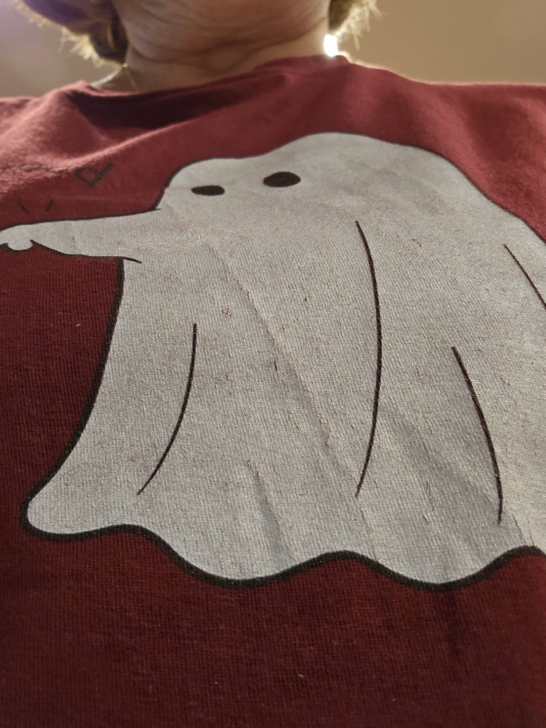 Customer photo review of Boo-p Chihuahua Shirt