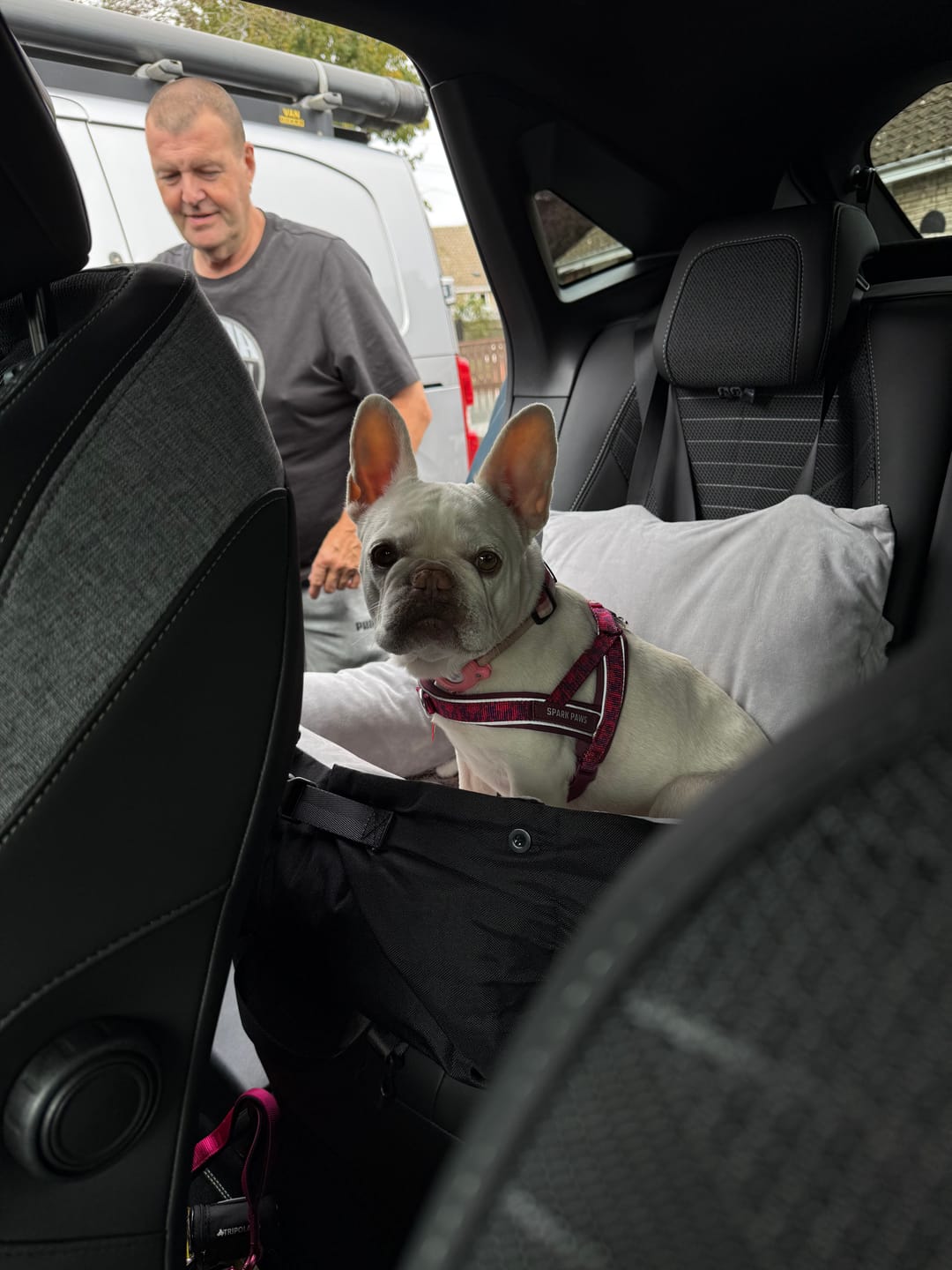 Customer photo review of Grab & Go Harness - Fuchsia Camo