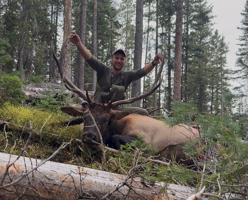 Customer photo review of Cut on Contact Titanium Broadheads (3 Pack)