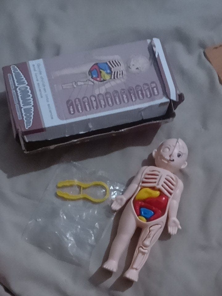 Customer photo review of Anatomiemodell Lernspielzeug | Menschlicher Körper zum Auseinandernehmen STEM Kinder