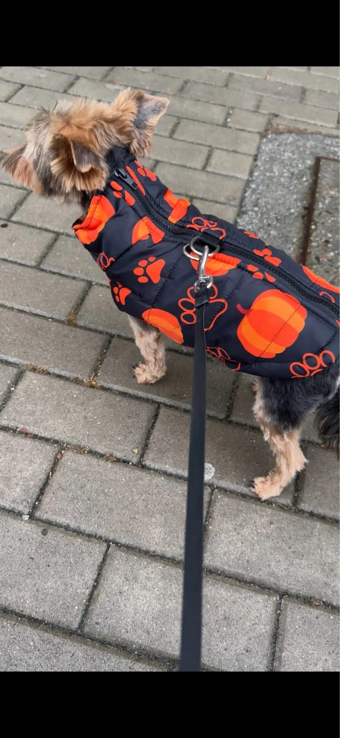 Customer photo review of Warm Whiskers Halloween Pet Vest