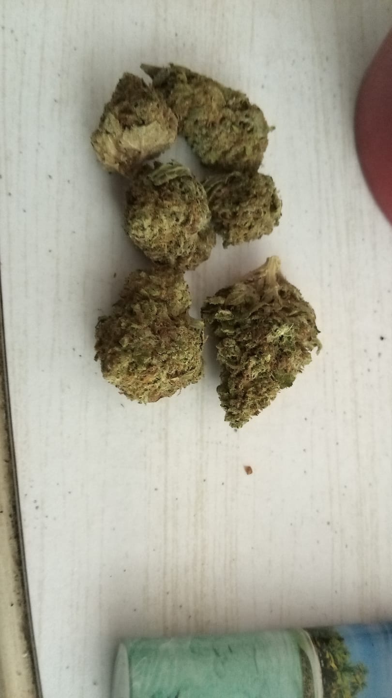 Customer photo review of Gorilla Glue Greenhouse THCA
