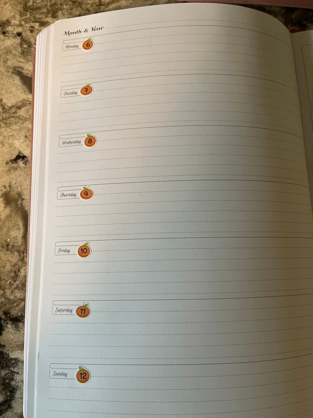 Customer photo review of Numbers - Capy Autumn Planner Stickers