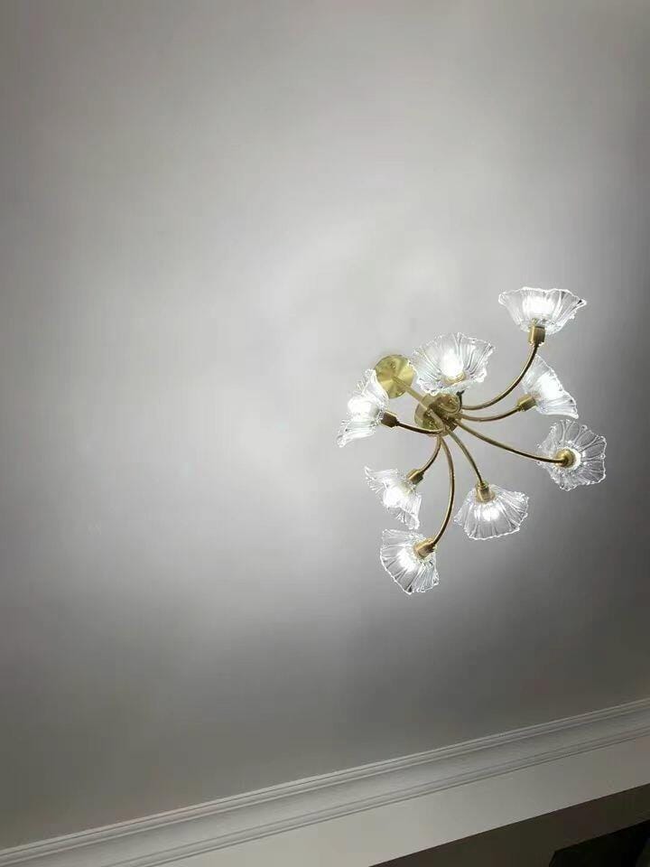 Customer photo review of Brass Chandelier, Clear Glass Petal Shades, 3 to 8 Heads