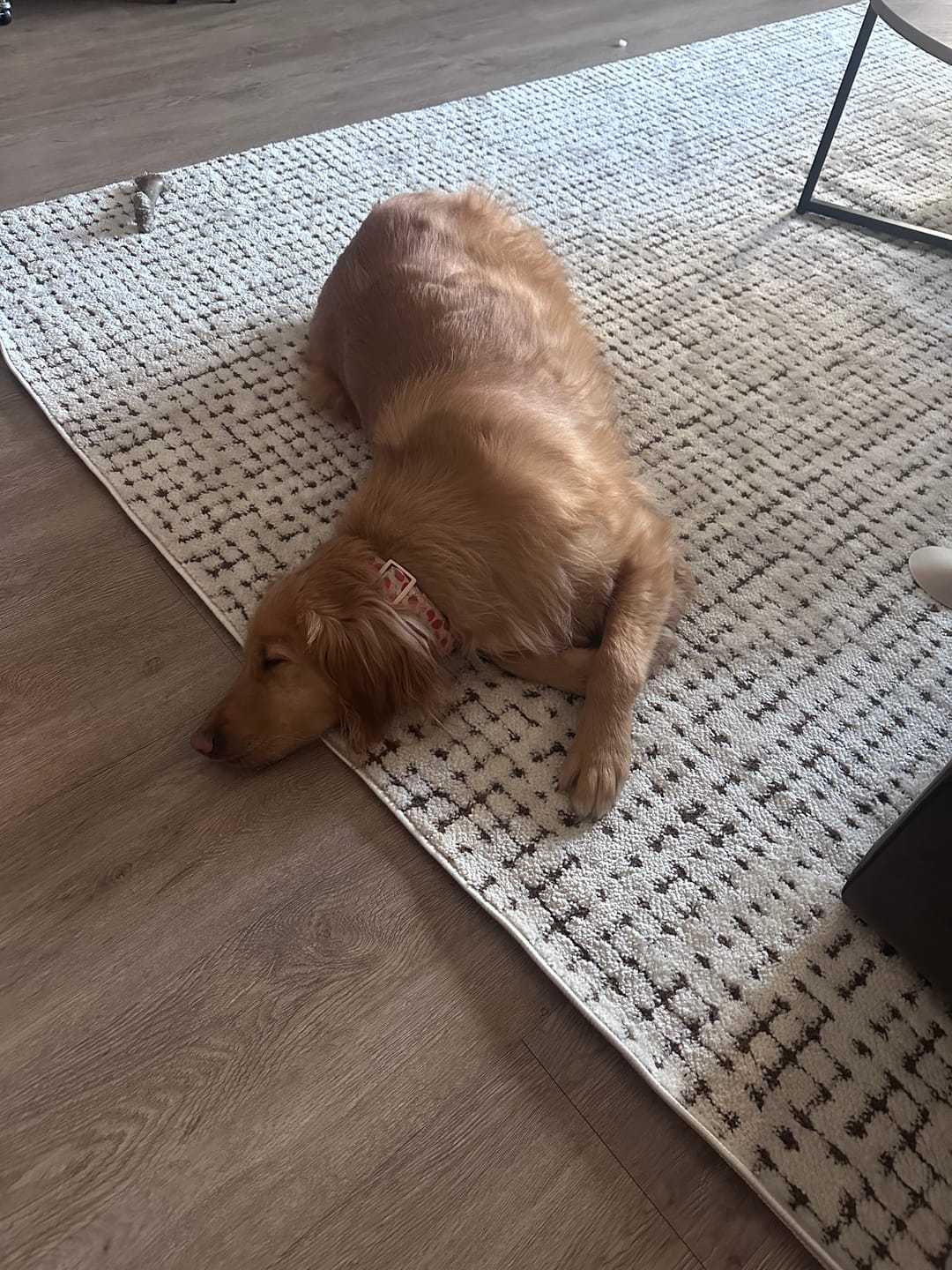 Customer photo review of Oliver Checkered Cream Rug